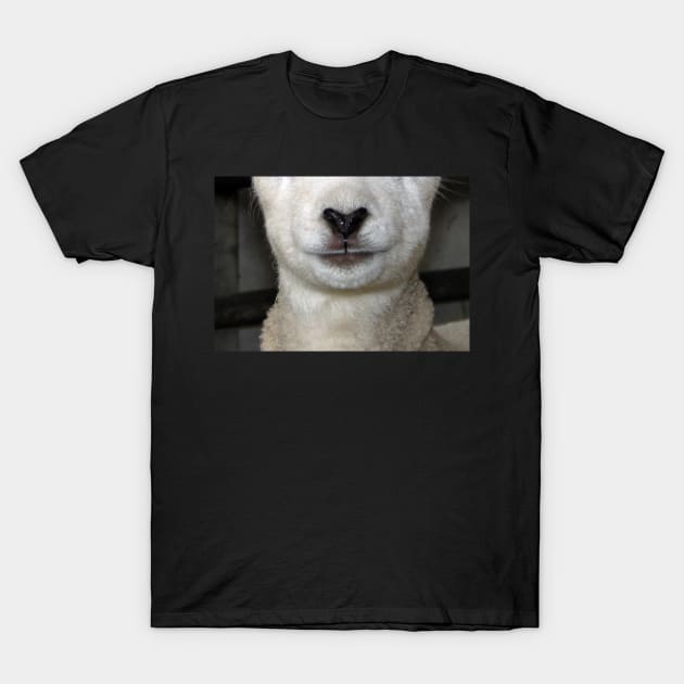 Baa Snout 1 T-Shirt by AH64D